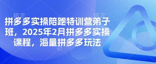 拼多多实操陪跑特训营弟子班，2025年2月拼多多实操课程，海量拼多多玩法网赚项目-副业赚钱-互联网创业-独家轻创IP星泽云创