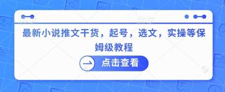 最新小说推文干货，起号，选文，实操等保姆级教程网赚项目-副业赚钱-互联网创业-独家轻创IP星泽云创