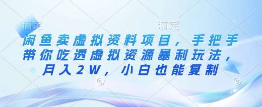 闲鱼卖虚拟资料项目，手把手带你吃透虚拟资源暴利玩法，月入2W，小白也能复制网赚项目-副业赚钱-互联网创业-独家轻创IP星泽云创