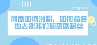网剧如何涨粉，如何精准地去涨我们的短剧粉丝网赚项目-副业赚钱-互联网创业-独家轻创IP星泽云创