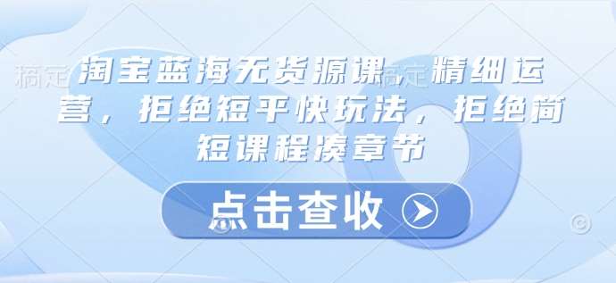 淘宝蓝海无货源课，精细运营，拒绝短平快玩法，拒绝简短课程凑章节网赚项目-副业赚钱-互联网创业-独家轻创IP星泽云创
