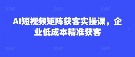 AI短视频矩阵获客实操课，企业低成本精准获客网赚项目-副业赚钱-互联网创业-独家轻创IP星泽云创