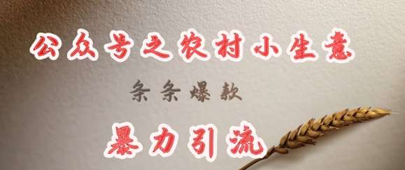 deepseek写农村小项目，条条爆款，暴力引流网赚项目-副业赚钱-互联网创业-独家轻创IP星泽云创