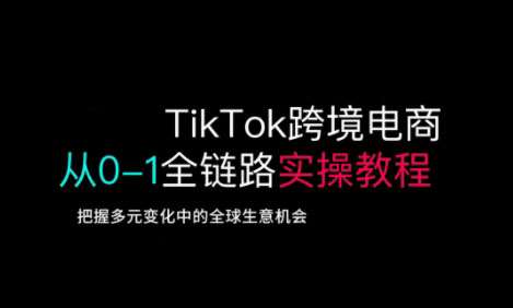 TikTok跨境电商从0-1全链路全方位实操教程，把握多元变化中的全球生意机会网赚项目-副业赚钱-互联网创业-独家轻创IP星泽云创