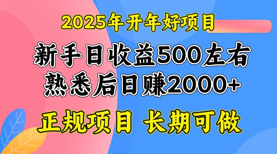 （14076期）2025开年好项目，单号日收益2000左右网赚项目-副业赚钱-互联网创业-独家轻创IP星泽云创
