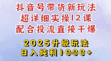 2025全新升级抖音带货玩法，一天纯利四位数，从剪辑到选品再到发布投流，超详细玩法揭秘网赚项目-副业赚钱-互联网创业-独家轻创IP星泽云创