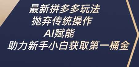 最新拼多多玩法，抛弃传统操作，AI赋能，助力新手小白获取第一桶金网赚项目-副业赚钱-互联网创业-独家轻创IP星泽云创