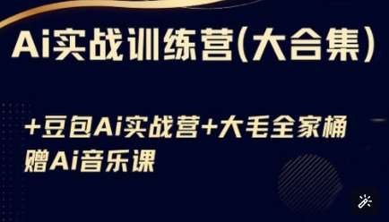 Ai实战训练营合集(豆包Ai+KiMi应用+Ai音乐)，基础操作到高级技巧的多个方面网赚项目-副业赚钱-互联网创业-独家轻创IP星泽云创