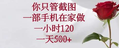 你只管截图，一部手机在家做，一小时120.一天5张【揭秘】网赚项目-副业赚钱-互联网创业-独家轻创IP星泽云创