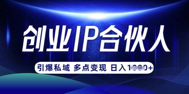 云帆·创业ip合伙人打造3.0，从0到1教你做网创，实现月入过W网赚项目-副业赚钱-互联网创业-独家轻创IP星泽云创