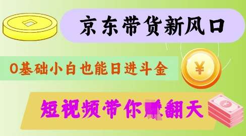 最新京东短视频带货代运营秘籍，轻松躺挣【揭秘】网赚项目-副业赚钱-互联网创业-独家轻创IP星泽云创