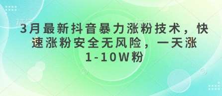 3月最新抖音暴力涨粉技术，快速涨粉安全无风险，一天涨1-10W粉网赚项目-副业赚钱-互联网创业-独家轻创IP星泽云创