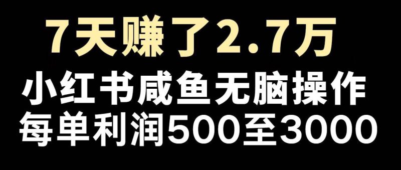 （14183期）最赚钱项目之一，2025爆火，逆风翻盘！网赚项目-副业赚钱-互联网创业-独家轻创IP星泽云创
