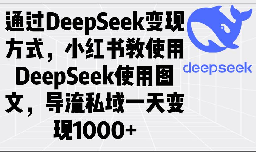 （14179期）通过DeepSeek变现方式，小红书教使用DeepSeek图文，导流私域一天变现1000+网赚项目-副业赚钱-互联网创业-独家轻创IP星泽云创