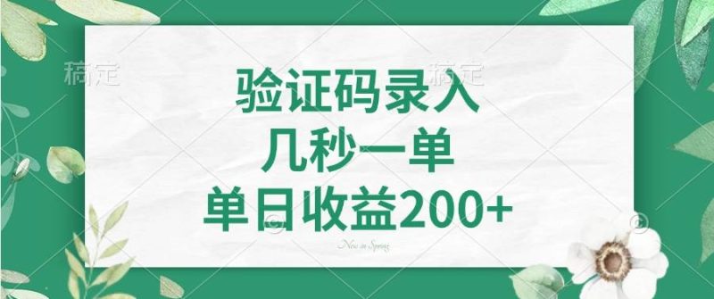（14221期）验证码录入，几秒一单，单日收益200+网赚项目-副业赚钱-互联网创业-独家轻创IP星泽云创