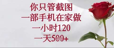 你只管截图，一部手机在家操作，一小时120.一天5张【揭秘】网赚项目-副业赚钱-互联网创业-独家轻创IP星泽云创