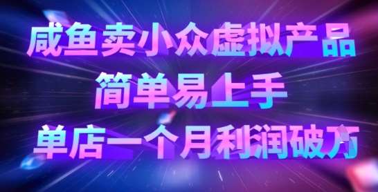 咸鱼卖小众虚拟产品，简单易上手，单店一个月利润破W网赚项目-副业赚钱-互联网创业-独家轻创IP星泽云创