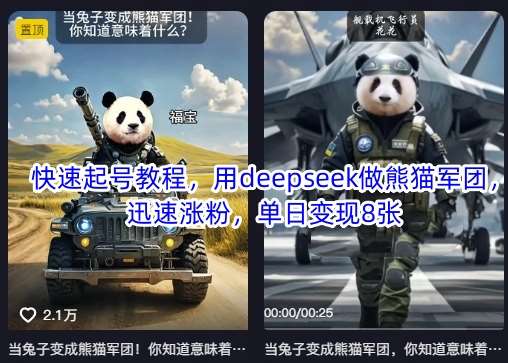 快速起号教程，用deepseek做熊猫军团，迅速涨粉，单日变现8张网赚项目-副业赚钱-互联网创业-独家轻创IP星泽云创