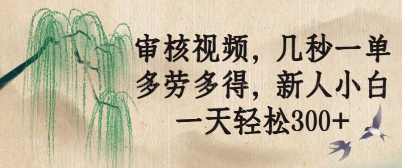 （14202期）审核视频，几秒一单，多劳多得，新人小白一天轻松300+网赚项目-副业赚钱-互联网创业-独家轻创IP星泽云创