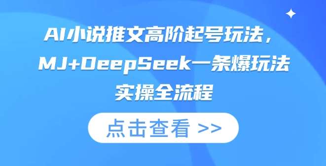 AI小说推文高阶起号玩法，MJ+DeepSeek一条爆玩法实操全流程网赚项目-副业赚钱-互联网创业-独家轻创IP星泽云创
