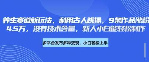 养生赛道新玩法，利用古人跳操，9条作品涨粉4.5W，没有技术含量，新人小白能轻松制作网赚项目-副业赚钱-互联网创业-独家轻创IP星泽云创