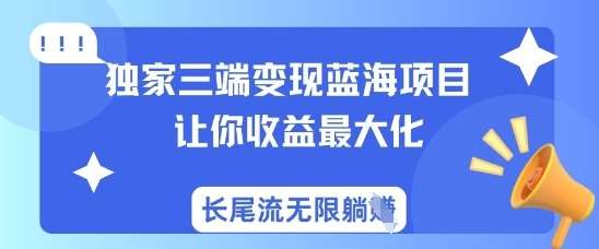 独家三端变现蓝海项目，让你收益最大化，长尾流无限躺挣网赚项目-副业赚钱-互联网创业-独家轻创IP星泽云创