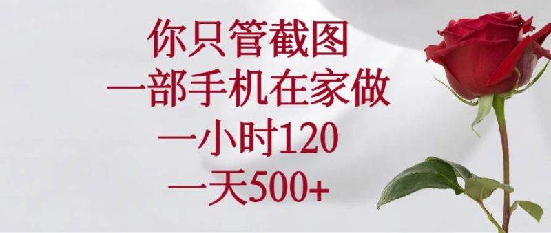（14248期）你只管截图，一部手机在家做，一小时120，一天500+网赚项目-副业赚钱-互联网创业-独家轻创IP星泽云创