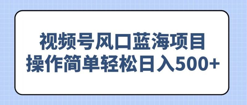 （14276期）视频号风口蓝海项目，操作简单轻松日入500+网赚项目-副业赚钱-互联网创业-独家轻创IP星泽云创