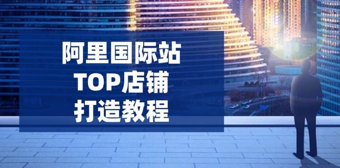 （14269期）阿里国际站TOP店铺打造教程：涵盖平台到高阶，解决运营难题，提升询盘网赚项目-副业赚钱-互联网创业-独家轻创IP星泽云创