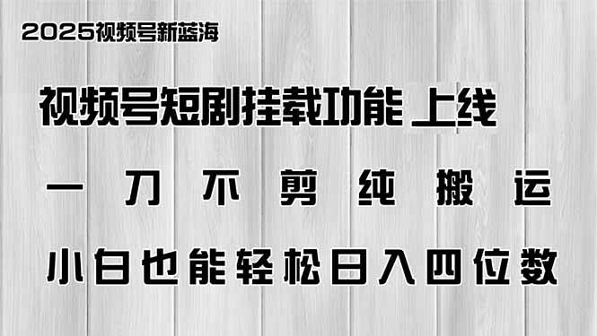 （14310期）视频号短剧挂载功能上线，一刀不剪纯搬运，小白也能轻松日入四位数网赚项目-副业赚钱-互联网创业-独家轻创IP星泽云创