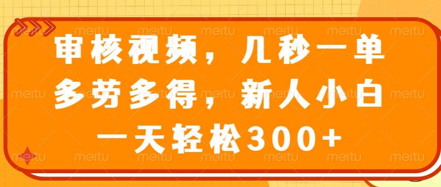 （14294期）审核视频，几秒一单，多劳多得，新人小白一天轻松300+网赚项目-副业赚钱-互联网创业-独家轻创IP星泽云创