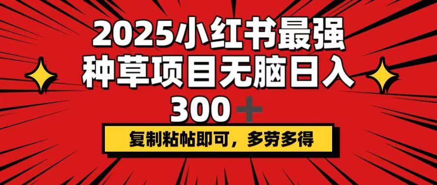 （14375期）2025小红书最强种草项目，无脑日入300+，复制粘帖即可，多劳多得网赚项目-副业赚钱-互联网创业-独家轻创IP星泽云创
