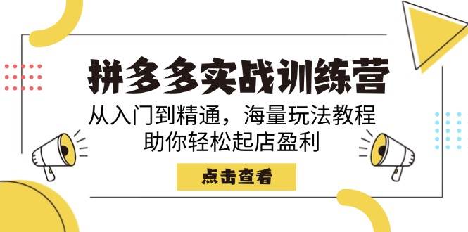 （14392期）拼多多实战训练营，从入门到精通，海量玩法教程，助你轻松起店盈利网赚项目-副业赚钱-互联网创业-独家轻创IP星泽云创