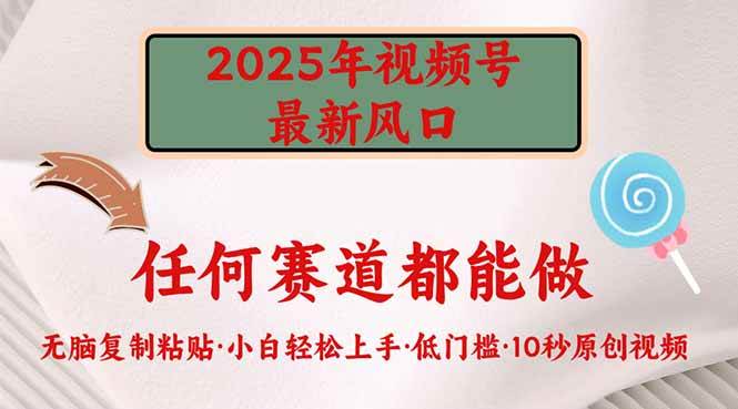 （14453期）2025年视频号新风口，低门槛只需要无脑执行网赚项目-副业赚钱-互联网创业-独家轻创IP星泽云创