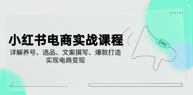 （14549期）小红书电商实战课程，详解养号、选品、文案撰写、爆款打造，实现电商变现网赚项目-副业赚钱-互联网创业-独家轻创IP星泽云创