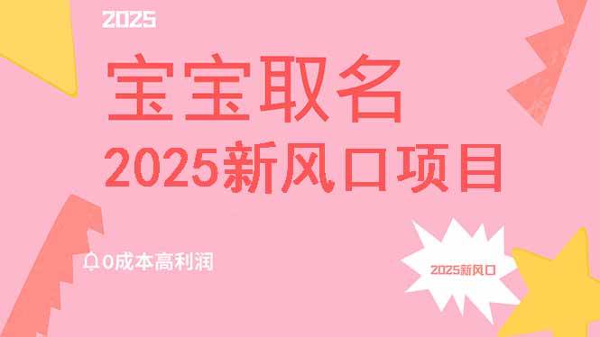 （14593期）2025新风口项目宝宝取名，0成本高利润，附保姆级教程，月入过万不是梦网赚项目-副业赚钱-互联网创业-独家轻创IP星泽云创