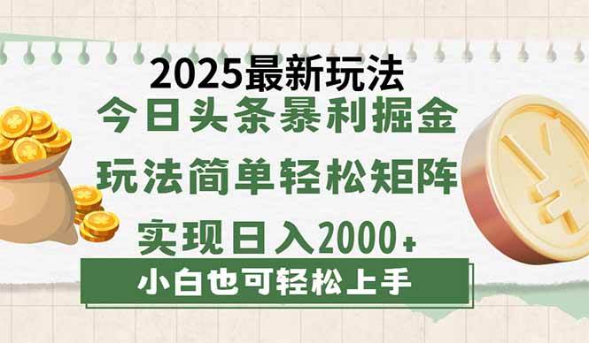 （14120期）今日头条2025最新玩法，思路简单，复制粘贴，轻松实现矩阵日入2000+网赚项目-副业赚钱-互联网创业-独家轻创IP星泽云创