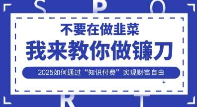 韭菜生涯终结者，我来教你做镰刀，2025如何通过“知识付费”实现财F自由【揭秘】网赚项目-副业赚钱-互联网创业-独家轻创IP星泽云创
