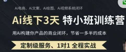 AI实操培训第20-21期线下，0基础保姆级教程，3月最新整理，企业获客、降本增效、打造超级个体网赚项目-副业赚钱-互联网创业-独家轻创IP星泽云创
