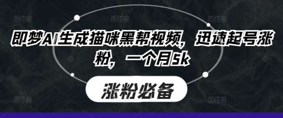即梦AI生成猫咪黑帮视频，迅速起号涨粉，一个月5k网赚项目-副业赚钱-互联网创业-独家轻创IP星泽云创