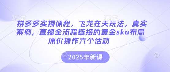 拼多多实操课程，飞龙在天玩法，真实案例，直播全流程链接的黄金sku布局原价操作六个活动网赚项目-副业赚钱-互联网创业-独家轻创IP星泽云创