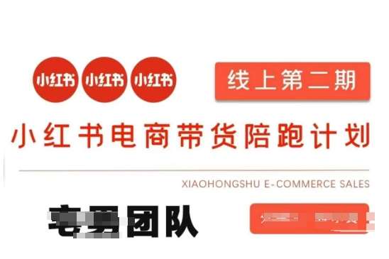 小红书电商带货课2期，月利润20个的小红书电商的有货源，无货源，虚拟产品，付费投流等整套玩法网赚项目-副业赚钱-互联网创业-独家轻创IP星泽云创