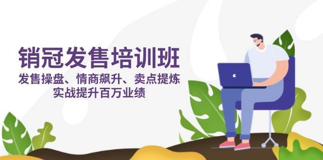 销冠发售培训班：发售 操盘+情商 飙升+卖点 提炼，实战提升百万业绩网赚项目-副业赚钱-互联网创业-独家轻创IP星泽云创