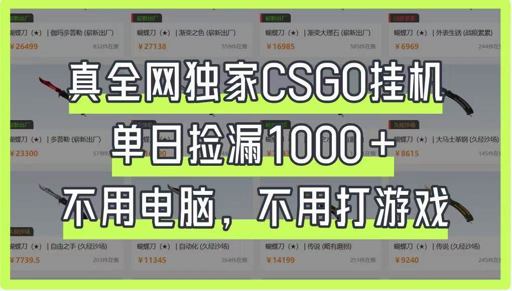 真全网独家CSGO挂机，单日捡漏1000+，不用电脑，不用养号网赚项目-副业赚钱-互联网创业-独家轻创IP星泽云创