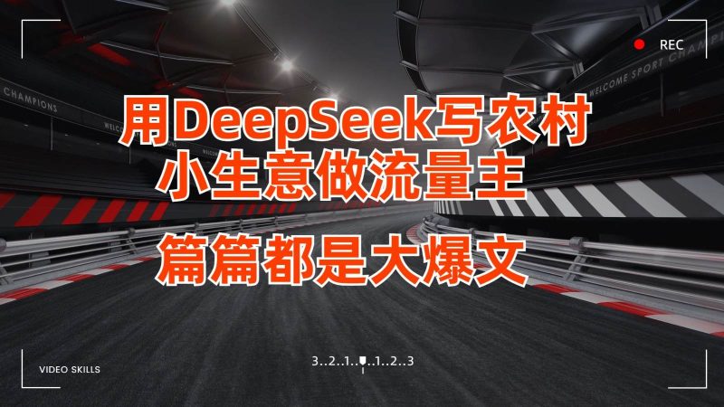用DeepSeek写农村小生意做流量主，篇篇都是大爆文网赚项目-副业赚钱-互联网创业-独家轻创IP星泽云创