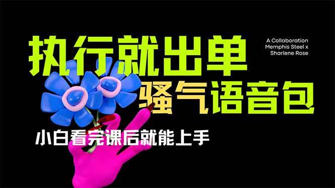 （14170期）爆火全网的开车导航骚气语音包,只要执行就出单，小白看完课程就能实操…网赚项目-副业赚钱-互联网创业-独家轻创IP星泽云创