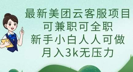 最新美团云客服项目，可兼职可全职，新手小白人人可做，月入3k无压力网赚项目-副业赚钱-互联网创业-独家轻创IP星泽云创