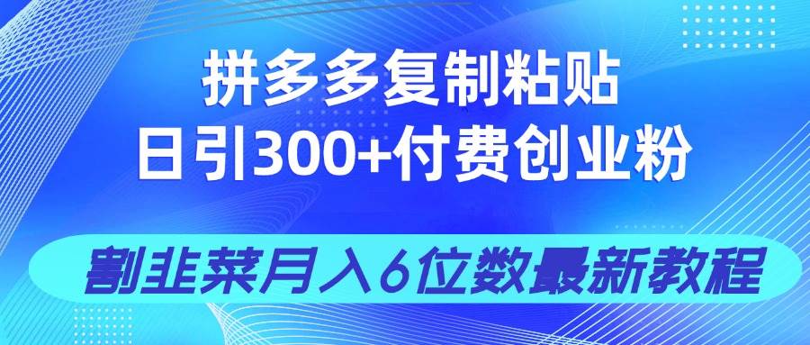 （14232期）拼多多复制粘贴日引300+付费创业粉，割韭菜月入6位数最新教程！网赚项目-副业赚钱-互联网创业-独家轻创IP星泽云创