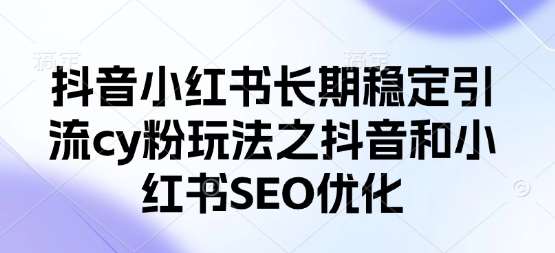 抖音小红书长期稳定引流cy粉玩法之抖音和小红书SEO优化网赚项目-副业赚钱-互联网创业-独家轻创IP星泽云创