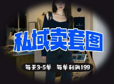 私域卖套图每天3-5单，每单利润99网赚项目-副业赚钱-互联网创业-独家轻创IP星泽云创